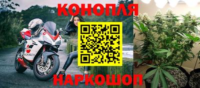 эйфоретик Пугачёв